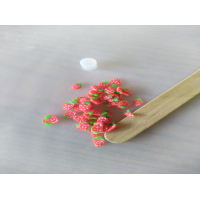 schijfjes aardbei heel klein